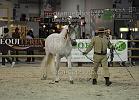 ARTUR-Garcia Blanco Alberto